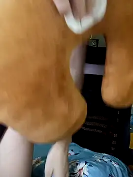 BiCute688 online show from November 1, 2025, 4:31 pm