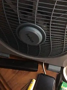 Snapshot of -bunny06 chatting on October 2, 2025, 7:10 pm -bunny06 online show from October 2, 2025, 7:10 pm