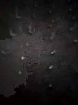 PEEHU-50 online show from January 13, 2026, 1:55 am