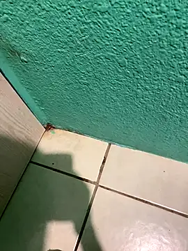 feetbooy online show from December 22, 2025, 12:18 am