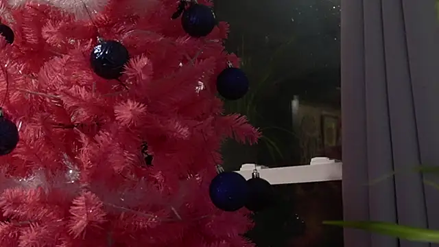 Snapshot of Vox_Personas chatting on December 18, 2025, 6:41 am Vox Personas online show from December 18, 2025, 6:41 am