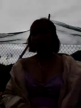 Bum 538 online show from December 17, 2025, 2:28 am