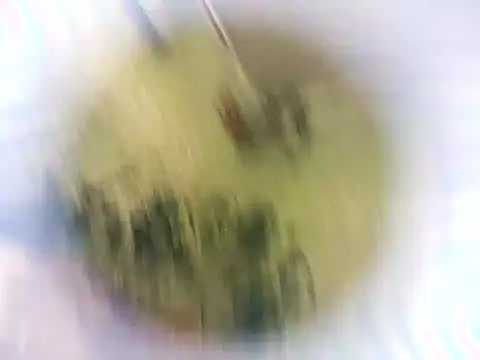 Masha412111 online show from October 22, 2025, 8:19 pm