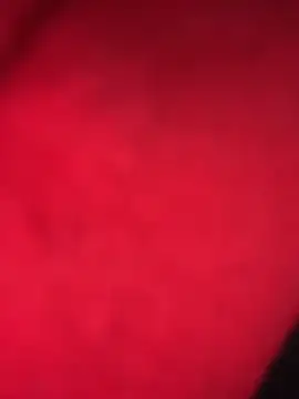 moonlight 289 online show from November 15, 2025, 6:15 pm