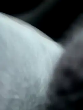 Snapshot of pleasedontpressaredburton chatting on October 14, 2025, 2:29 pm pleasedontpressaredburton online show from October 14, 2025, 2:29 pm