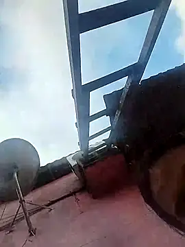 Jg135667 online show from November 27, 2025, 11:01 am