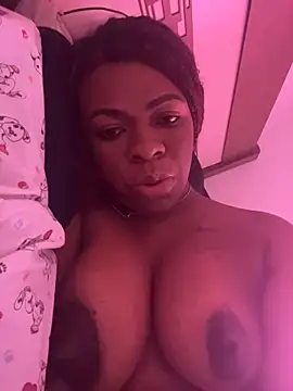 Priihmedeiros online show from March 16, 2026, 3:05 pm