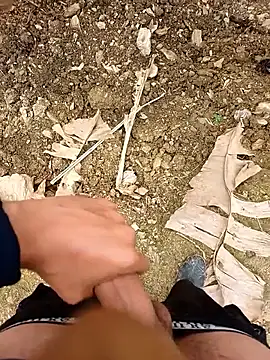 Snapshot of Sikici0734 chatting on April 1, 2026, 11:33 am Sikici0734 online show from April 1, 2026, 11:33 am