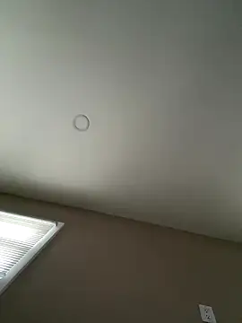 murphdolla online show from December 19, 2025, 1:51 pm