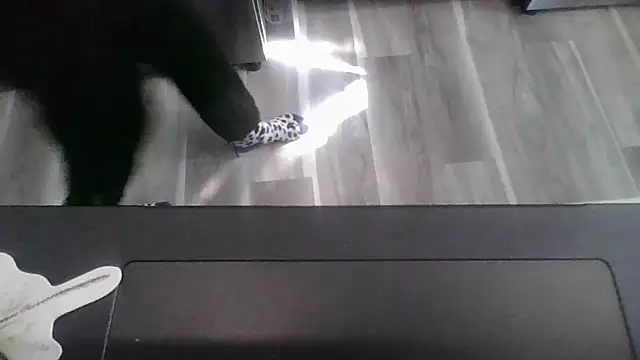 october1992xx online show from November 9, 2025, 4:38 pm