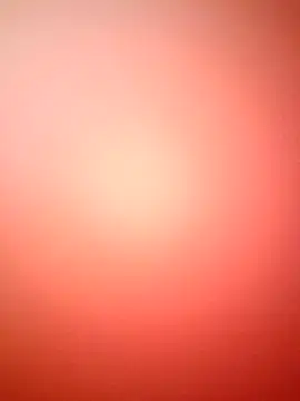 marcojans online show from December 2, 2025, 3:51 pm