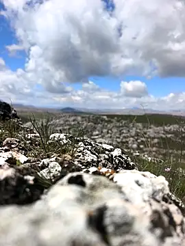 Sert erkek21 ysm online show from March 31, 2026, 9:21 am