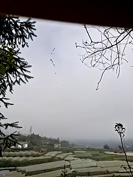 miomio-12 online show from November 7, 2025, 1:38 am