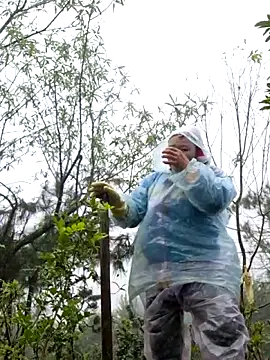 miomio-12 online show from November 18, 2025, 2:28 am