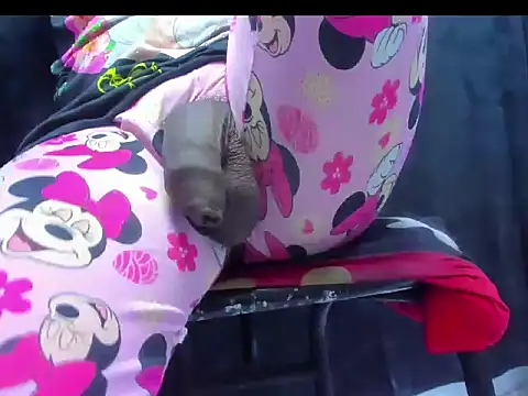 dirtybig cock22 online show from November 22, 2025, 2:27 pm