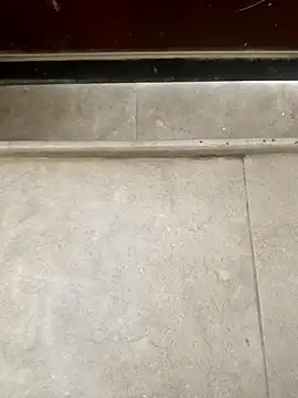 pn12345 online show from December 1, 2025, 5:12 am