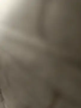 pn12345 online show from December 15, 2025, 3:33 am