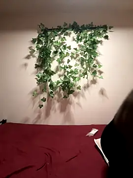 Chennai Fire online show from November 23, 2025, 10:26 am