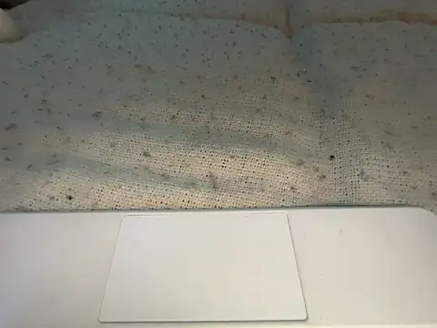 Snapshot of goddesemiiyy chatting on November 18, 2025, 6:34 pm goddesemiiyy online show from November 18, 2025, 6:34 pm