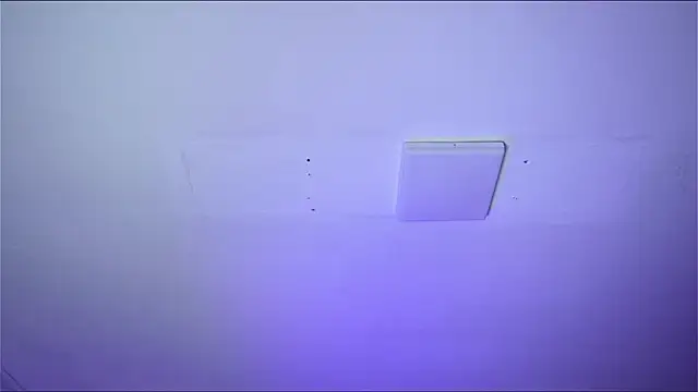 Bayonetta doll online show from February 14, 2026, 12:46 pm