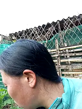 jerry-xx online show from January 18, 2026, 9:57 am