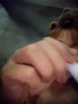 Rabbit-small online show from March 20, 2026, 4:12 pm