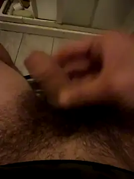 Theanimals online show from November 5, 2025, 11:49 pm