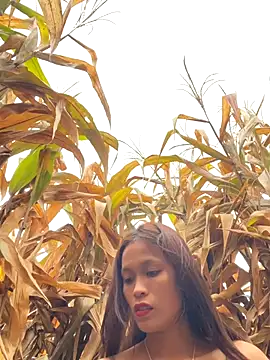 hi-hi-zz online show from December 18, 2025, 1:55 am