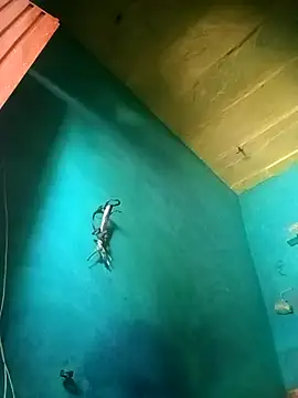 Snapshot of Rt_shreya chatting on November 21, 2025, 6:45 am Rt shreya online show from November 21, 2025, 6:45 am