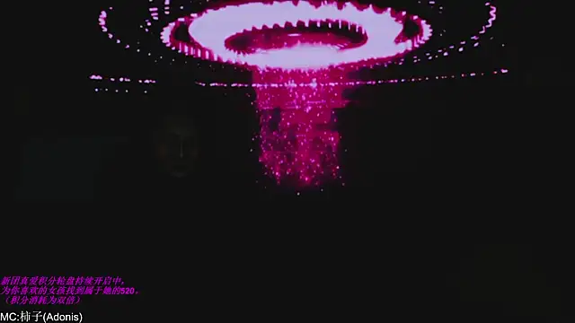 World-flower online show from November 14, 2025, 3:11 pm