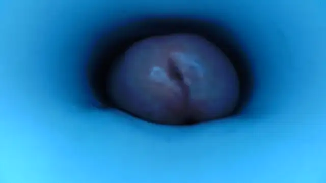 Snapshot of pedrolatino20cm chatting on December 15, 2025, 2:21 pm pedrolatino20cm online show from December 15, 2025, 2:21 pm