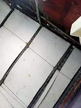 Cherry pusy99 online show from October 27, 2025, 12:04 am