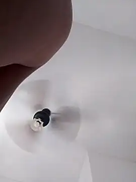 Camilanifeta online show from February 25, 2026, 5:44 pm