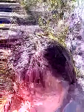 Snapshot of siusiu-00 chatting on January 18, 2026, 5:00 am siusiu-00 online show from January 18, 2026, 5:00 am