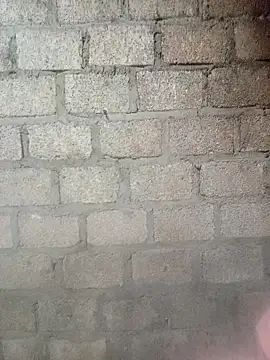 Snapshot of siusiu-00 chatting on February 5, 2026, 9:52 pm siusiu-00 online show from February 5, 2026, 9:52 pm