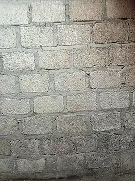 Snapshot of siusiu-00 chatting on February 19, 2026, 9:16 am siusiu-00 online show from February 19, 2026, 9:16 am