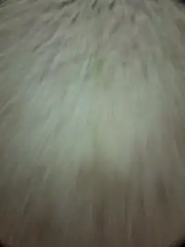 Snapshot of torresflow99nais chatting on November 25, 2025, 11:32 am torresflow99nais online show from November 25, 2025, 11:32 am