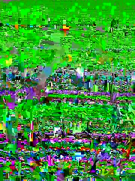 FaixaRosa11 online show from October 21, 2025, 11:16 pm