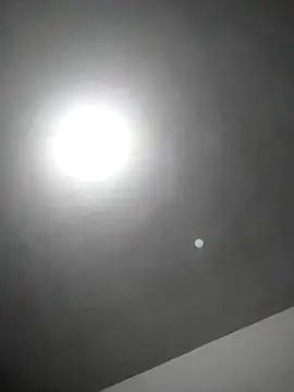 checheludo23 online show from February 25, 2026, 12:20 am