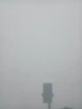 Snapshot of strip_queennn chatting on November 10, 2025, 5:45 pm strip queennn online show from November 10, 2025, 5:45 pm