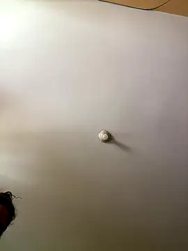 Snapshot of Techi0525 chatting on December 16, 2025, 5:18 pm Techi0525 online show from December 16, 2025, 5:18 pm