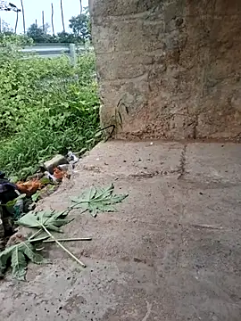 DesiVideo00 online show from November 28, 2025, 8:28 am