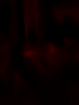 Snapshot of goloso80 chatting on May 22, 2026, 2:51 am goloso80 online show from May 22, 2026, 2:51 am
