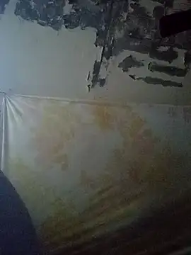 Cogelonregio online show from October 27, 2025, 11:41 pm