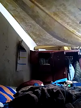 Cogelonregio online show from February 16, 2026, 5:58 am