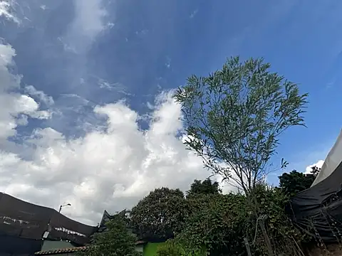 moon2 1  online show from December 4, 2025, 7:55 pm