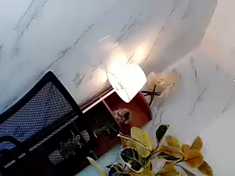 sweet rose69 online show from November 16, 2025, 12:33 pm