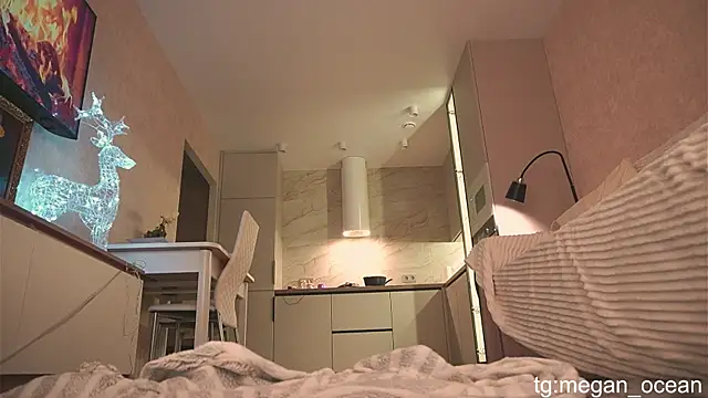 Snapshot of Megan_galactica chatting on November 30, 2025, 4:11 pm Megan galactica online show from November 30, 2025, 4:11 pm