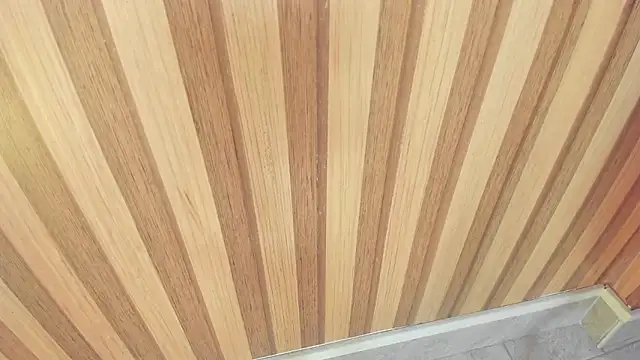 mia  blaze   online show from November 11, 2025, 3:06 am