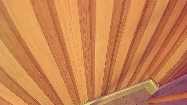 mia  blaze   online show from January 15, 2026, 3:00 am